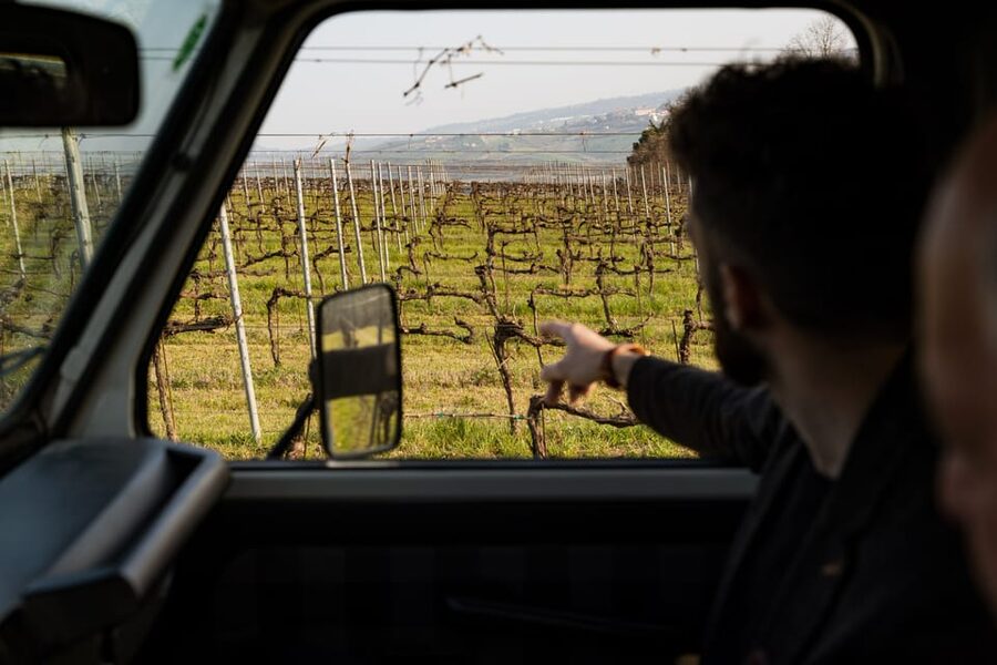 Abruzzo: Vineyard Jeep Tour with Tastings - From Cantina Mazzarosa to the Teramo Hills