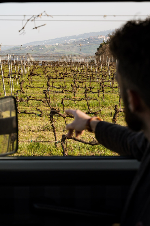 Abruzzo: Vineyard Jeep Tour with Tastings - Is $77 a fair price?