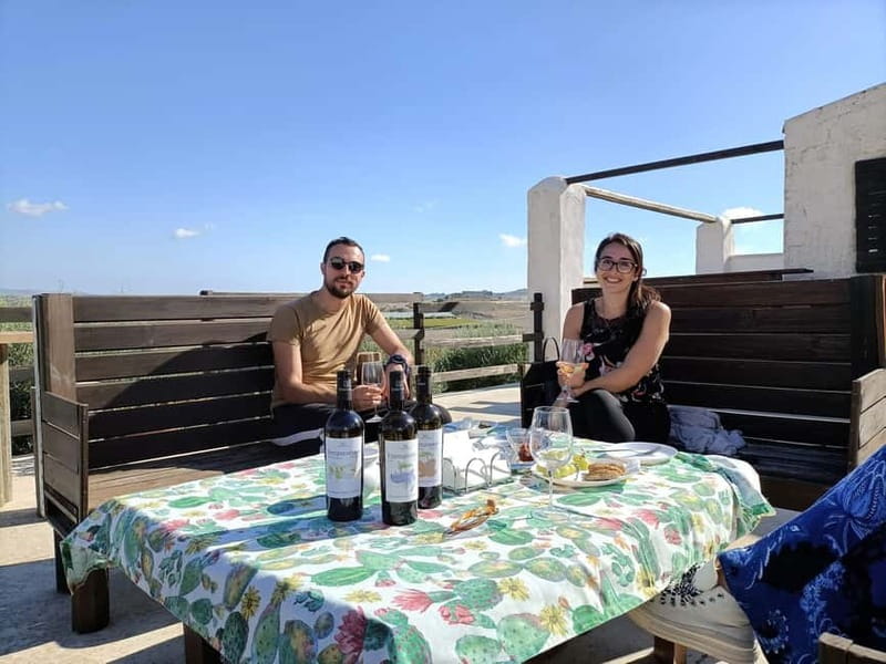 Agrigento: Vineyards and Wine Tasting Experience - Should you book the Agrigento vineyard experience?