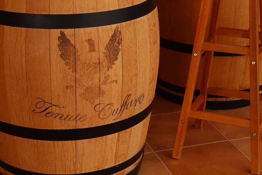 Agrigento: Wine tasting and walk in the vineyards. - Key points at a glance