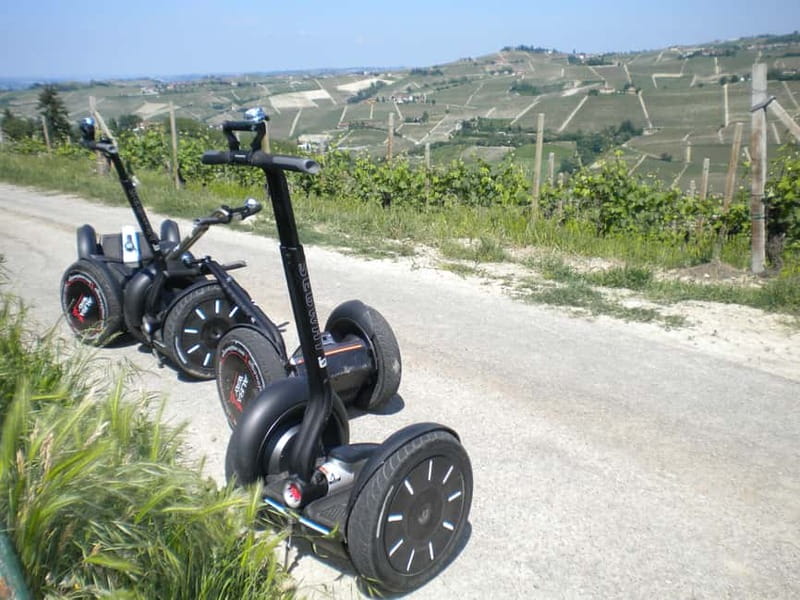 Alba: Guided Segway Tour through Langhe Hills and Vineyards - Who will enjoy this Alba experience most?