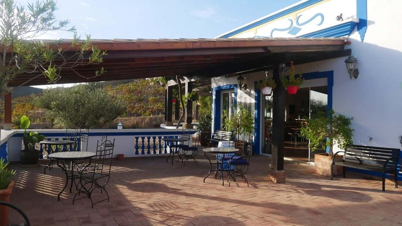 Albufeira, Olhão, Faro: Visit a vineyard, Free time in Silves - Key points at a glance