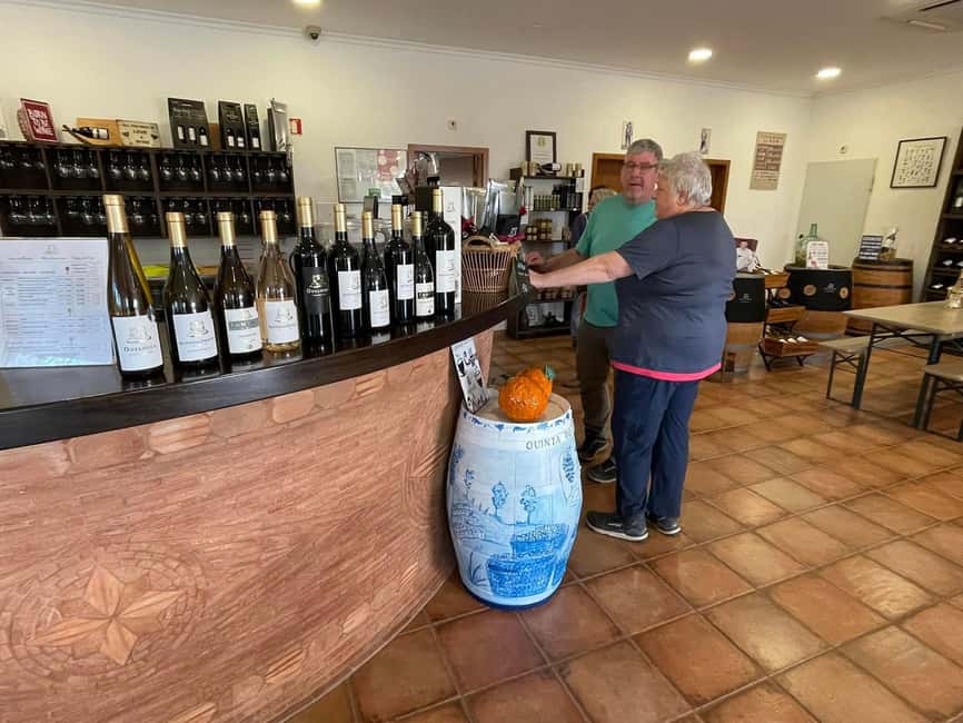 Albufeira, Olhão, Faro: Visit a vineyard, Free time in Silves - Three wines and a table of local products