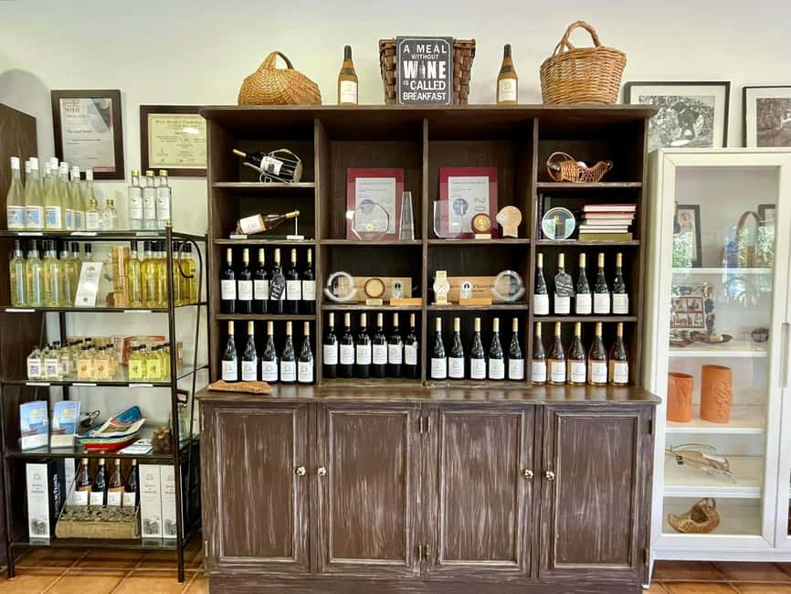 Albufeira, Olhão, Faro: Visit a vineyard, Free time in Silves - The transport and group size