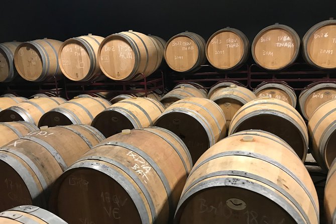 Albufeira Wine Tour: 2 Vineyards, 6 Tastings & Historic Silves - Paxá Wines and the modern Algarve wine scene