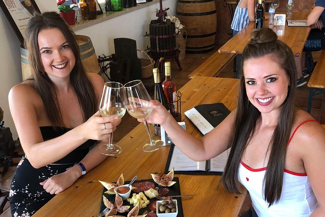 Albufeira Wine Tour: 2 Vineyards, 6 Tastings & Historic Silves - The wine tasting: six glasses with local snacks