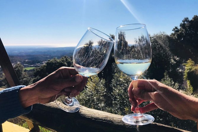 Albufeira Wine Tour: 2 Vineyards, 6 Tastings & Historic Silves - Transport, timing, and group size