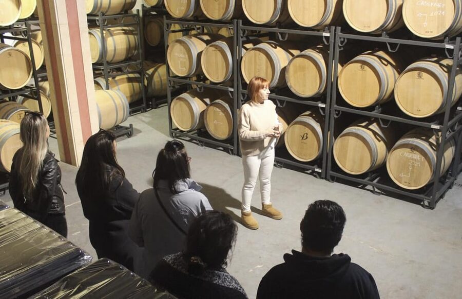 Alcúdia/Can Picafort: Guided Vineyard Visit and Wine Tasting - Inside the wine cellar and barrel room