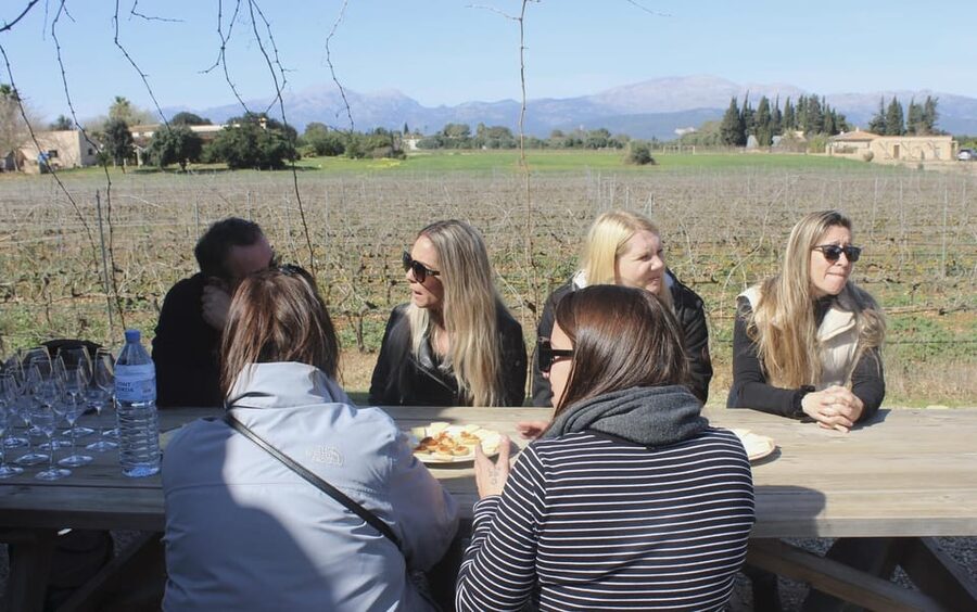 Alcúdia/Can Picafort: Guided Vineyard Visit and Wine Tasting - Tasting five wines with Mallorcan products