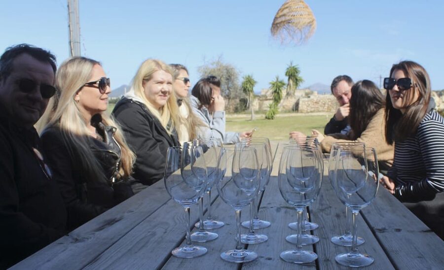 Alcúdia/Can Picafort: Guided Vineyard Visit and Wine Tasting - Who will enjoy this tour most?