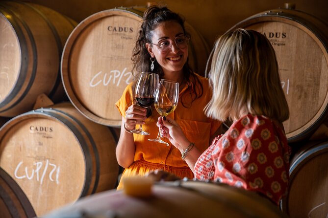 Alcudia Winecellar Tour with Vineyard Visit, Tasting of 5 Wines - Five wines, local snacks, and a useful tasting pace