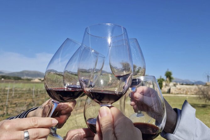 Alcudia Winecellar Tour with Vineyard Visit, Tasting of 5 Wines - Is $53.52 a fair price?