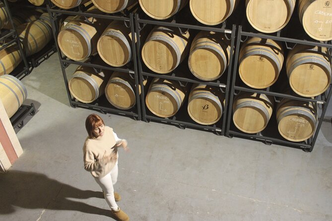Alcudia Winecellar Tour with Vineyard Visit, Tasting of 5 Wines - Who will enjoy this wine outing most?