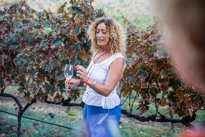 Alcudia Winecellar Tour with Vineyard Visit, Tasting of 5 Wines - My advice before you book