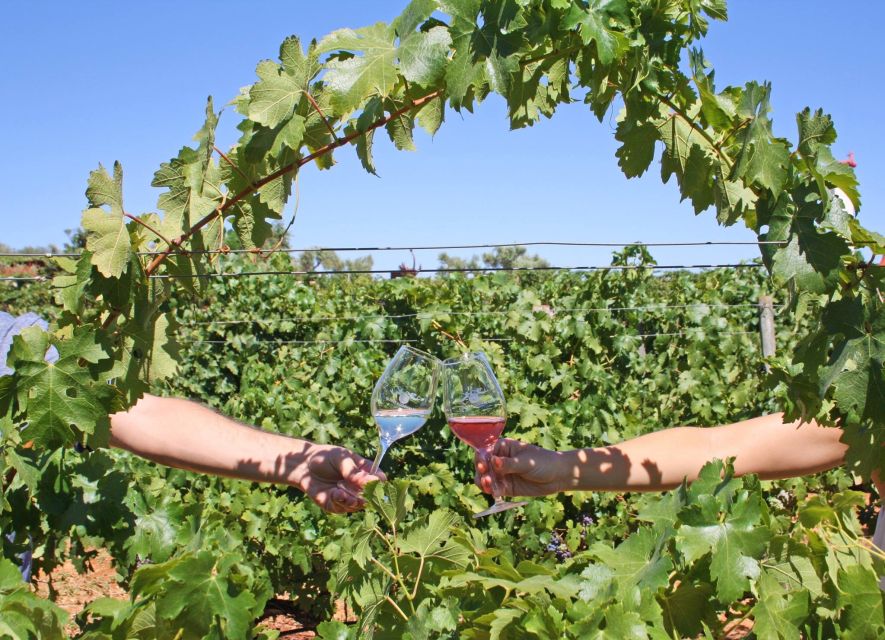 Algarve: 3 Types of Wine Tastings with Vineyard Views - Key points to know before you go