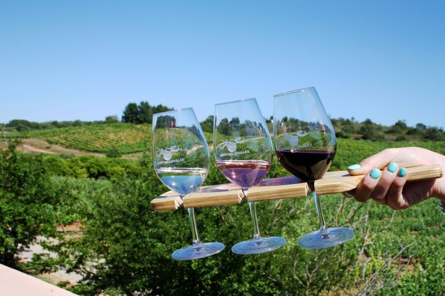 Algarve: 3 Types of Wine Tastings with Vineyard Views - The terrace is the best part of the visit