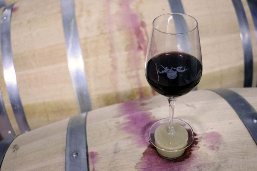 Algarve: 3 Types of Wine Tastings with Vineyard Views - Who will enjoy this winery stop