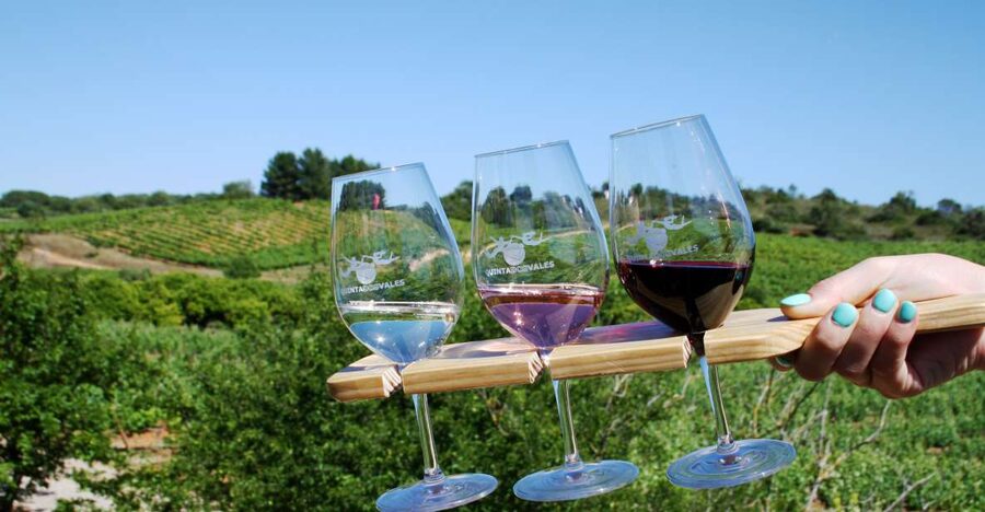 Algarve: 3 Types of Wine Tastings with Vineyard Views - Choosing three Algarve wines