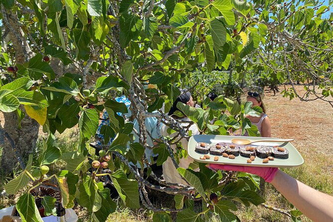 Algarve Romantic Vineyard Picnic in Carvoeiro - Who should book this vineyard picnic?