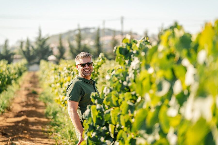Algarve: Vineyard Tour & Premium Wine Tasting in Silves - Key points to know before you book