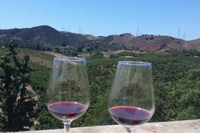 Algarve wine tour and farmer's lunch at wine estate - The farmer’s lunch at Morgado do Quintão