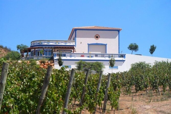Algarve wine tour and farmer's lunch at wine estate - Transport from Portimão and timing