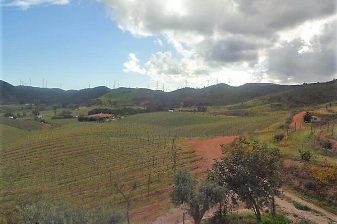 Algarve wine tour and farmer's lunch at wine estate - Who will enjoy this Algarve wine tour?