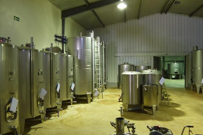 Algarve Wine Tour of Two Wine Estates - Starting from Portimão with pickup