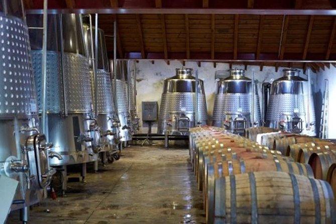 Algarve Wine Tour of Two Wine Estates - Quinta do Francês near the Monchique Mountains