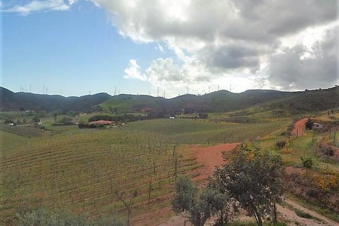 Algarve Wine Tour of Two Wine Estates - Fabio’s role as guide and teacher