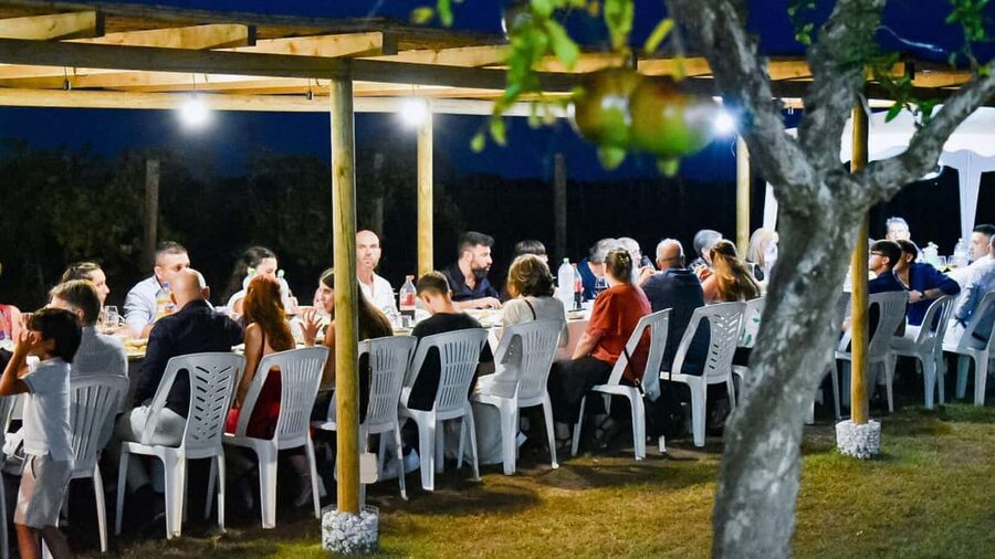 Alghero: lunch or dinner in the vineyard - Walking the vines and small cellar