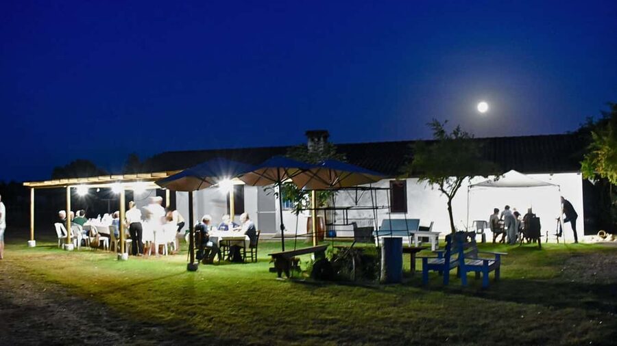 Alghero: lunch or dinner in the vineyard - Lunch or dinner: choosing the better time
