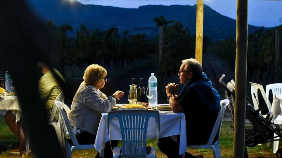 Alghero: lunch or dinner in the vineyard - How the food and wine value compares