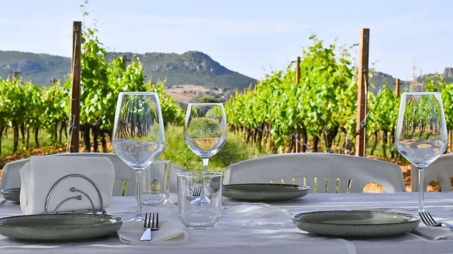Alghero: lunch or dinner in the vineyard - What happens when you arrive