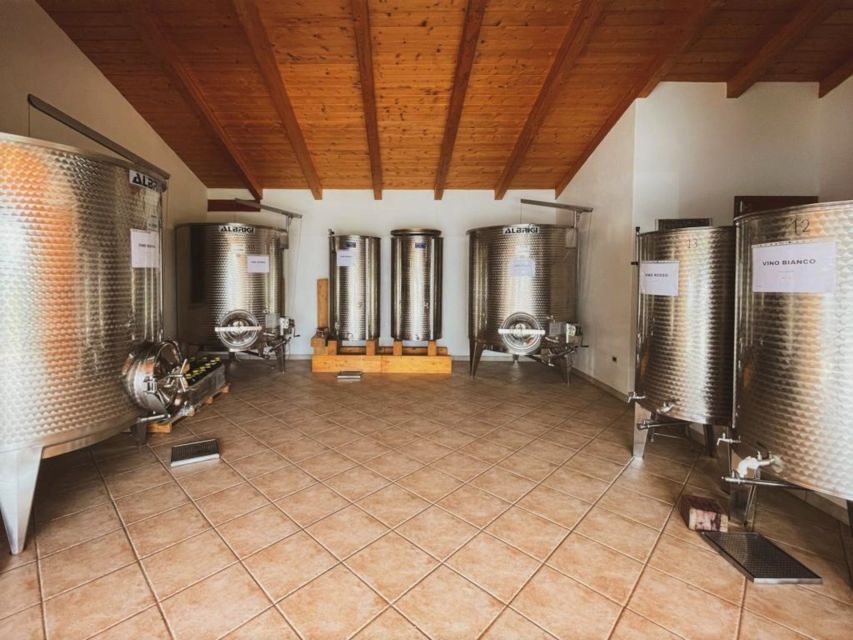 Alghero: wine tasting w/ local aperitif in the vineyard - Reaching the vineyard near Alghero