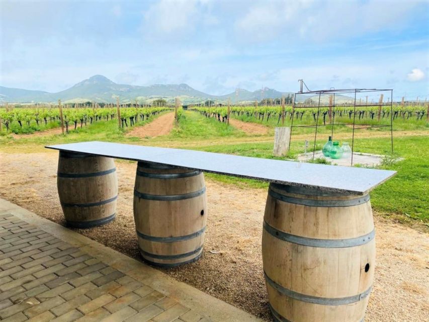 Alghero: wine tasting w/ local aperitif in the vineyard - Four Sardinian wines, two glasses