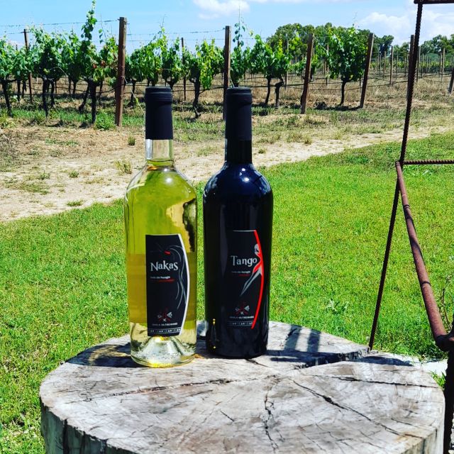 Alghero: wine tasting w/ local aperitif in the vineyard - Who will enjoy this most?