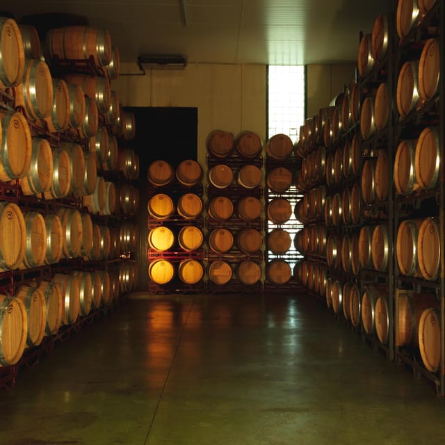 Alicante (Pinoso): Tour Experience Back from the Vineyard to the glass - Key points to know before you go