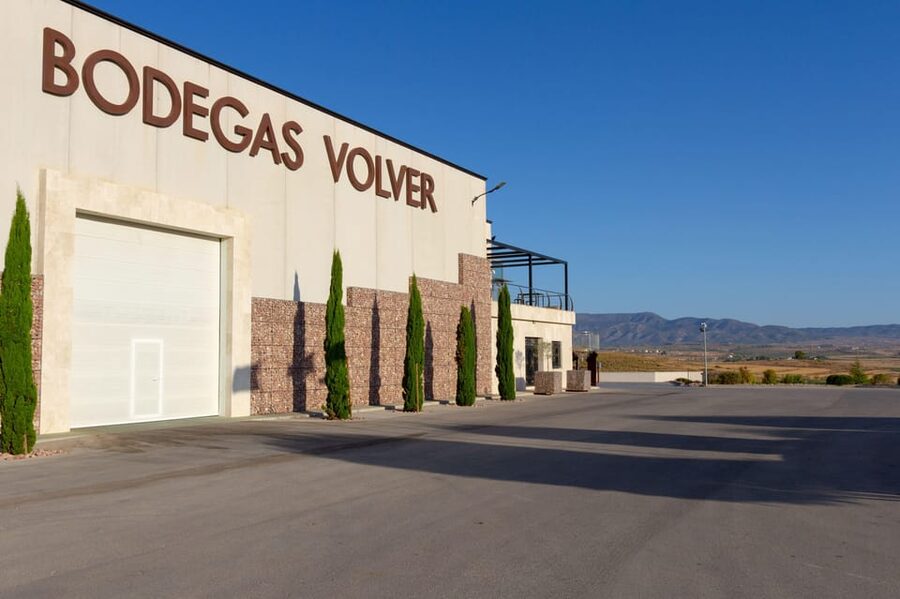 Alicante (Pinoso): Tour Experience Back from the Vineyard to the glass - Why this Pinoso winery visit is worth your time