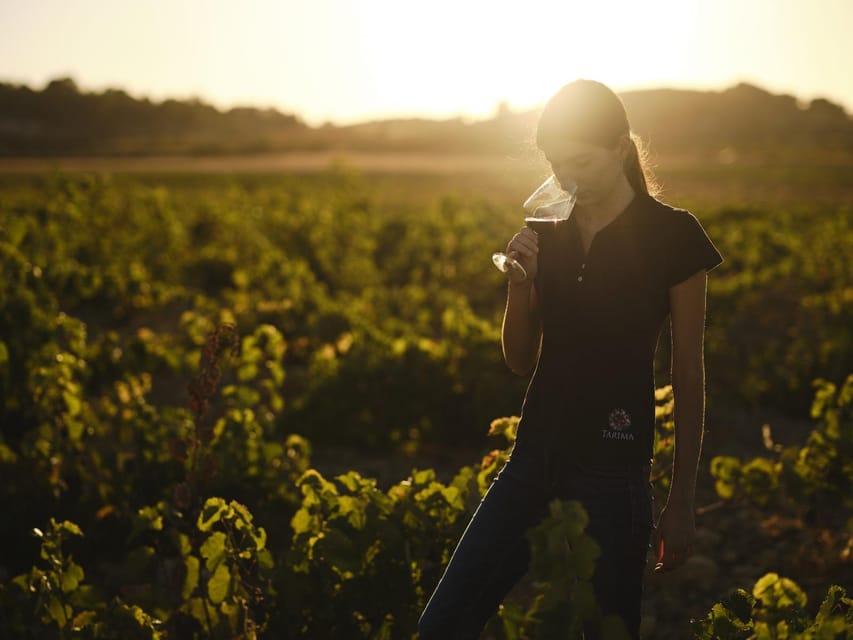 Alicante (Pinoso): Tour Experience Back from the Vineyard to the glass - Walking the vineyard and reading the terrain