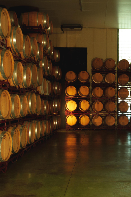 Alicante (Pinoso): Tour Experience Back from the Vineyard to the glass - Seeing where the wines rest and mature