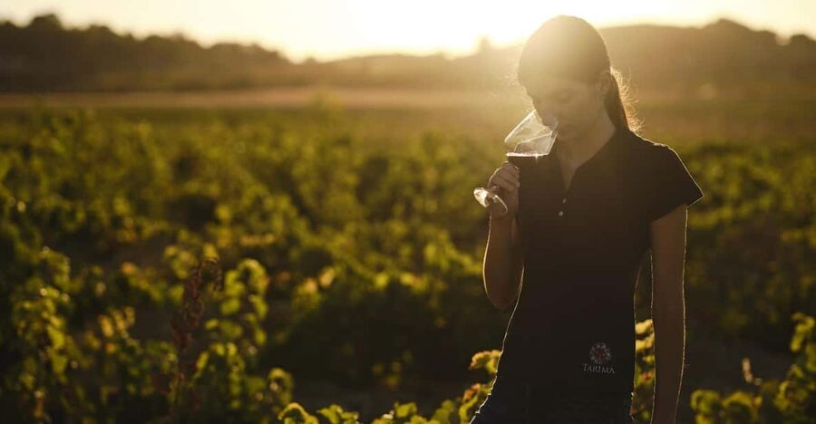 Alicante (Pinoso): Tour Experience Back from the Vineyard to the glass - Choosing the right departure and preparing well