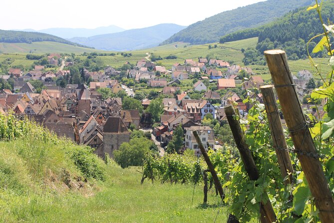 Alsace Wine Route Small Group Half-Day Tour with Tasting from Strasbourg - Following the 105-Mile Alsace Wine Route