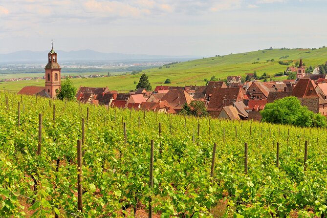 Alsace Wine Route Small Group Half-Day Tour with Tasting from Strasbourg - How Much Wine and Food You Actually Get