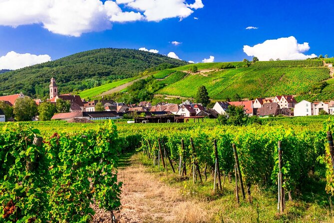 Alsace Wine Route Small Group Half-Day Tour with Tasting from Strasbourg - Morning or Afternoon: Which Departure Works Better?