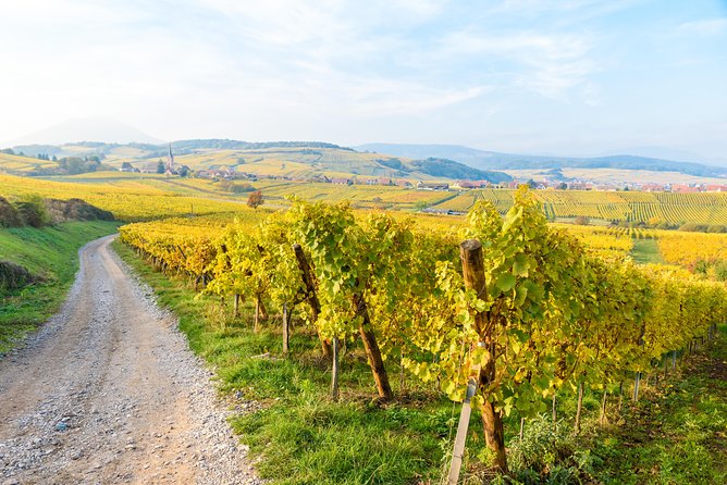 Alsace Wine Route Wineries & Tasting Small Group Guided Tour from Strasbourg - Leaving Strasbourg for Alsace’s vineyard country