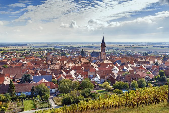 Alsace Wine Route Wineries & Tasting Small Group Guided Tour from Strasbourg - Lunch in a village, with planning required