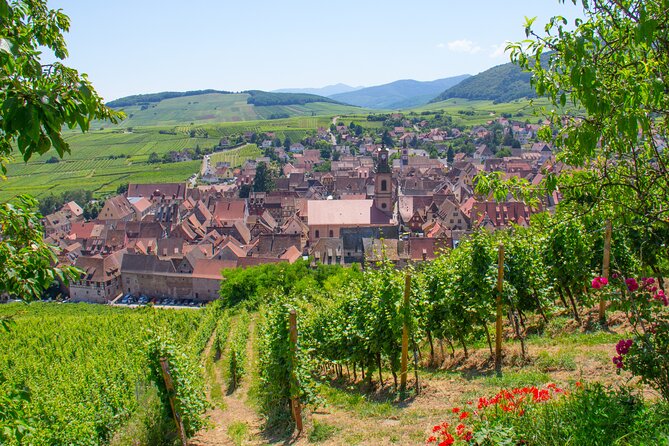 Alsace Wine Route Wineries & Tasting Small Group Guided Tour from Strasbourg - The final tastings and old Alsatian wine families