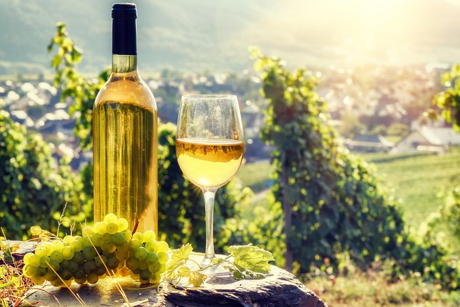 Alsace Wine Route Wineries & Tasting Small Group Guided Tour from Strasbourg - Mittelbergheim and the first Riesling tasting