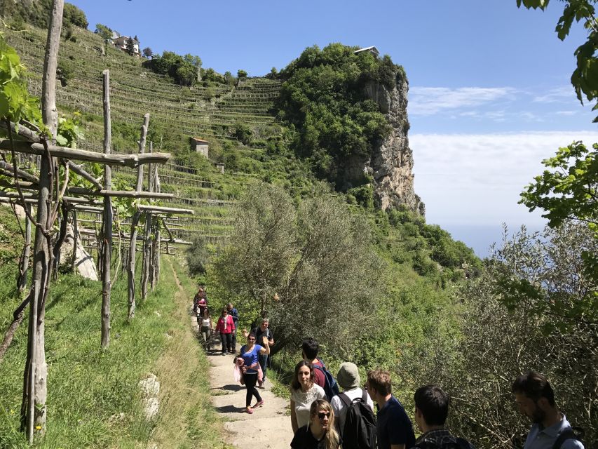Amalfi: Walking tour between Furore vertical Vineyards - Starting in Agerola, high above the coast